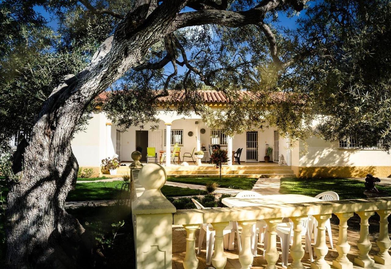 Villa With Great Pool Dog Friendly Vinarós エクステリア 写真